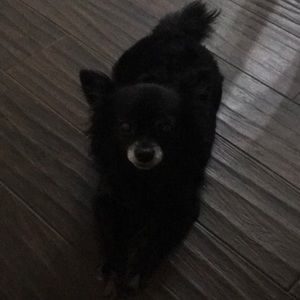 Meet your Posher, Sergio